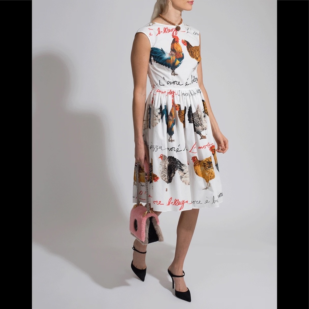 Dolce and Gabbana dress NWT